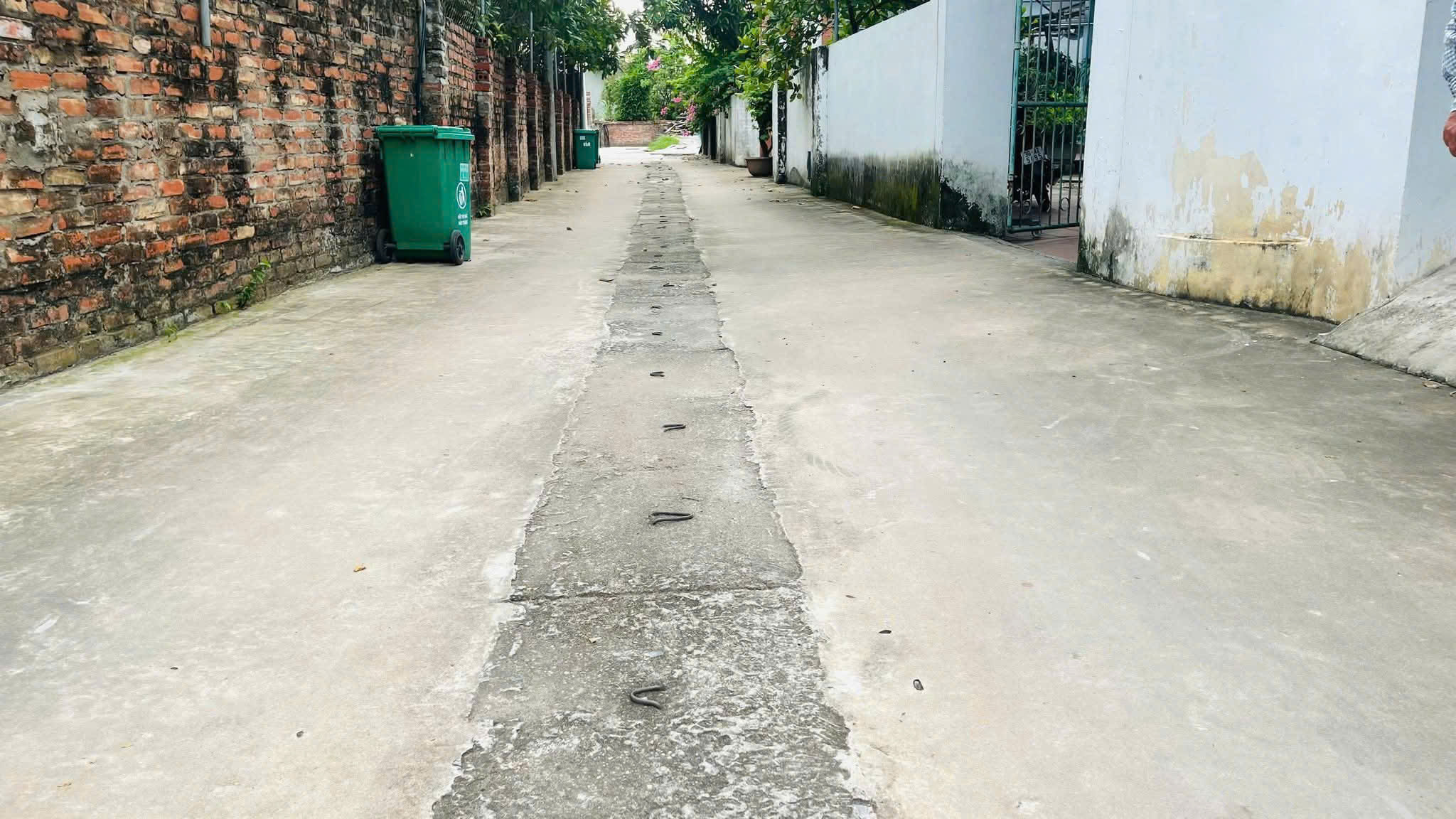 SĐCC- BÁN 147m Đất ECOPARK -VĂN GIANG, HƯNG YÊN   MT đẹp 8.5m. Ô tô Tránh, Vào nhà. - Ảnh 1